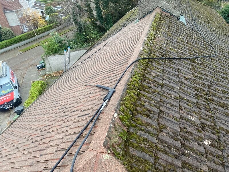 Roof Cleaning