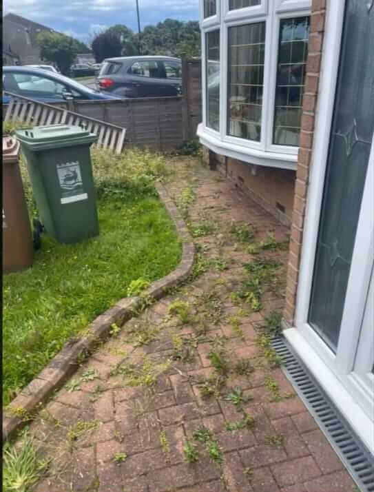 Before-patio-cleaning