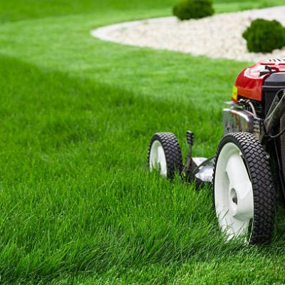 Lawn Care