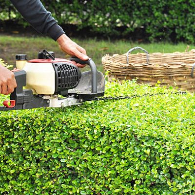 Shrub and Hedge Trimming